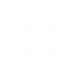 TRUST PLUS ICON